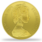 Bermuda Gold