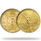 Mexican Gold Libertads &amp; Onzas