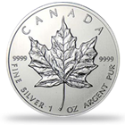 Canadian Silver Maples