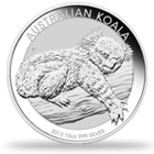 Australian Silver Koala
