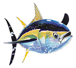 Guy Harvey Small Fish