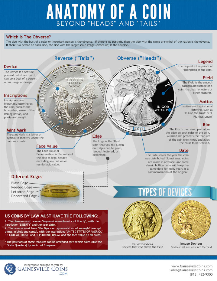 anatomy of a coin infographic