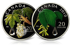 Canadian Raindrops Coins