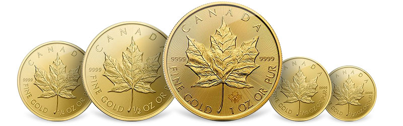 gold maple leafs coins