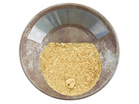 Gold Mining