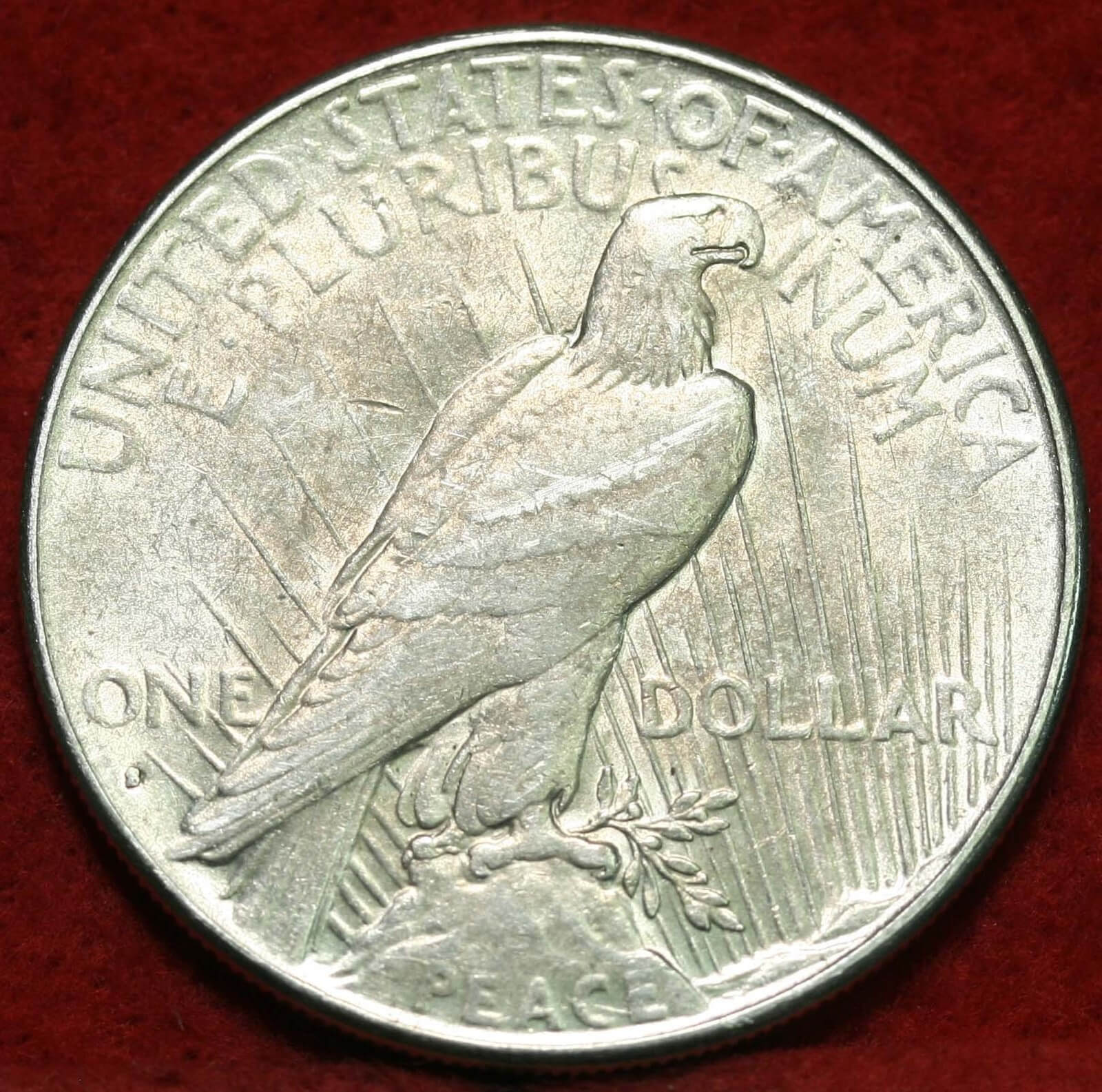 Peace Dollar reverse